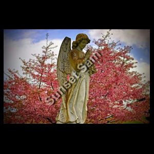 Angel and cherry blossom  - Thread Project Unisex Summer Tee Design