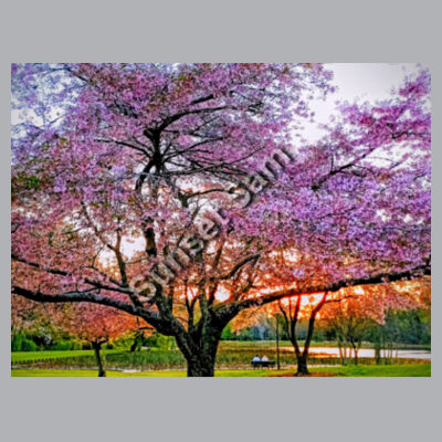 Cherry blossom peace - AS Colour Womens Relax Zip Hoodie Design
