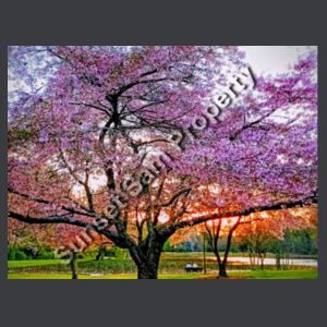 Cherry blossom peace - Cloke Wanderlust Hoodie Design