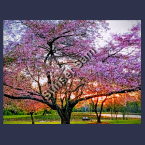 Cherry blossom peace - Urban Collab Mens Set Club Tee Design