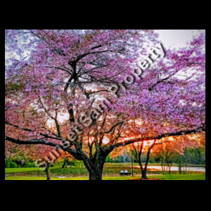 Cherry blossom peace - Syzmik Mens Streetworx Tee  Design