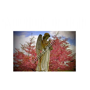 Angel statue Design