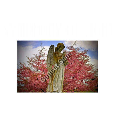Angel statue Design