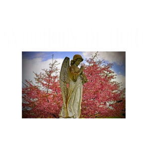 Angel statue Design