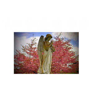 Angel statue Design