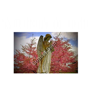Angel statue Design