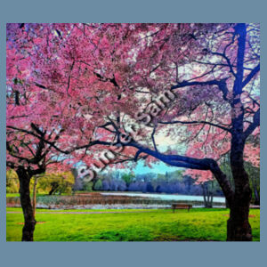 Cherry blossom Lake, Back picture - AS Colour Mens Relax Hood Design