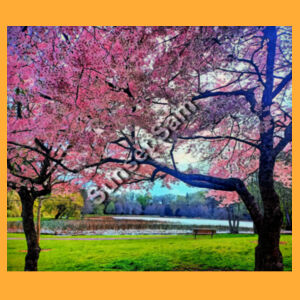 Cherry blossom Lake, Back picture - Alstyle Mens Tee Design