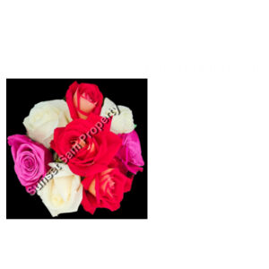 Rose posy - AS Colour Womens Oversized Dress Design