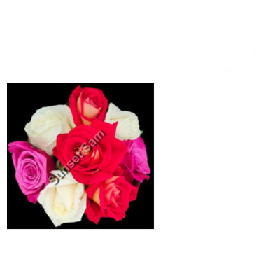 Rose posy - AS Colour Womens Mock Longsleeve Tee Design