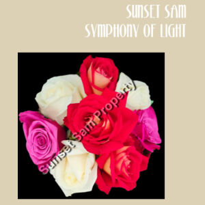 Rose posy - Medium Calico Bag Design