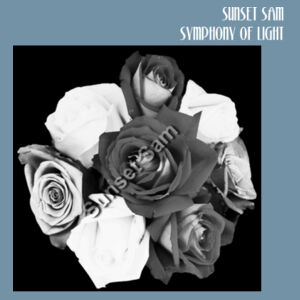 Black and white rose posy - AS Colour Denim Carrie Tote Design
