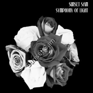 Black and white rose posy - AS Colour Shoulder Tote Design