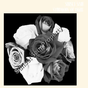 Black and white rose posy - AS Colour Parcel Tote Design