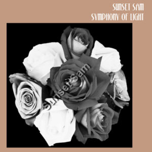 Black and white rose posy - AS Colour Carrie Tote Bag  Design