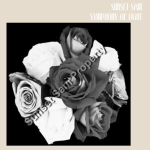 Black and white rose posy - Heavy Duty Canvas Tote Bag Design