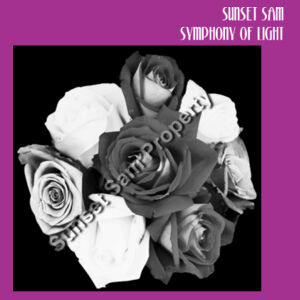 Black and white rose posy - Tote Bag Design