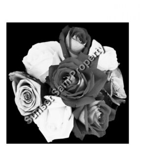 Black and white rose posy - AS Colour Womens Oversized Dress Design