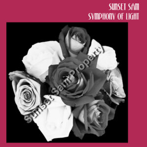 Black and white rose posy - Biz Collection Ladies Ice Tee Design