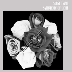 Black and white rose posy - AS Colour Womens Supply Hood Design