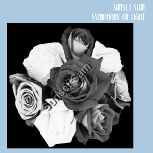 Black and white rose posy - Cloke Women's Standard Crew Neck Sweat Design