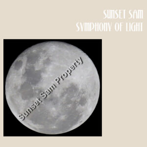 Full Moon - Heavy Duty Canvas Tote Bag Design