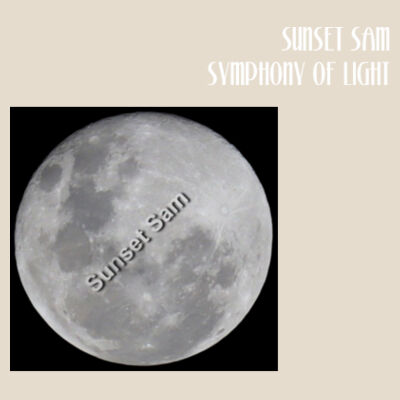 Full Moon - Super Tote Bag - Thread Project Design