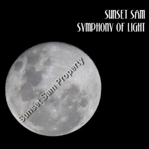 Full Moon - AS Colour Womens Saturday Dress Design