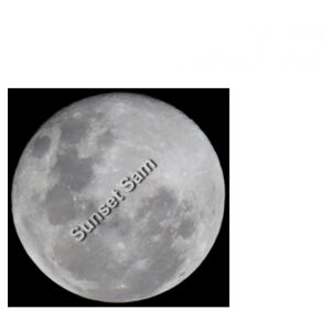 Full Moon - AS Colour Womens Ringer Tee Design