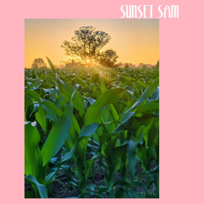 Cornfield Sunset - AS Colour Carrie Tote Bag  Design