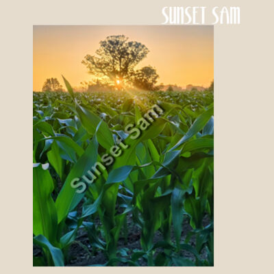 Cornfield Sunset - Super Tote Bag - Thread Project Design