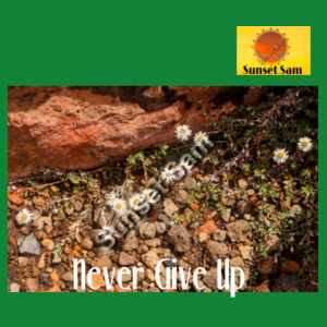 Flowers in the Rocks, Never give up - Cloke Womens Silhouette Tee V2 Design