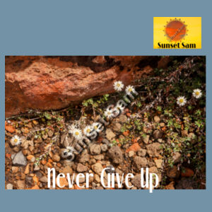 Flowers in the Rocks, Never give up - AS Colour Denim Carrie Tote Design