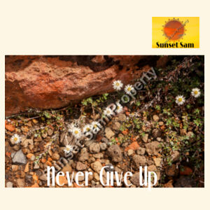Flowers in the Rocks, Never give up - AS Colour Parcel Tote Design