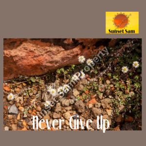 Flowers in the Rocks, Never give up - AS Colour Womens Terry Skirt Design