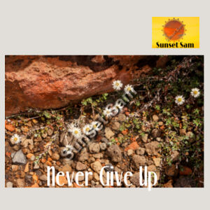 Flowers in the Rocks, Never give up - AS Colour Womens Relax Faded Hood Design