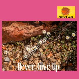 Flowers in the Rocks, Never give up - AS Colour Womens Relax Hood Design