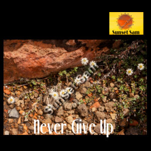 Flowers in the Rocks, Never give up - AS Colour Womens Stencil Hood Design