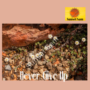 Flowers in the Rocks, Never give up - AS Colour Womens Premium Hood Design