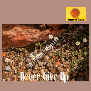 Flowers in the Rocks, Never give up - AS Colour Women's Relax Crew Design