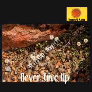 Flowers in the Rocks, Never give up - AS Colour Womens Dice Longsleeve Tee Design