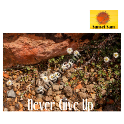 Flowers in the Rocks, Never give up - AS Colour Womens Mock Longsleeve Tee Design