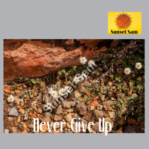 Flowers in the Rocks, Never give up - AS Colour Womens Yes Racerback Singlet Design