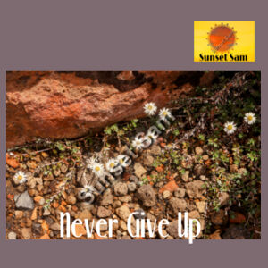 Flowers in the Rocks, Never give up - AS Colour Womens Maple Faded Tee Design