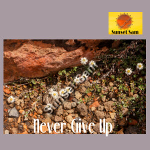 Flowers in the Rocks, Never give up - AS Colour Womens Classic Tee Design