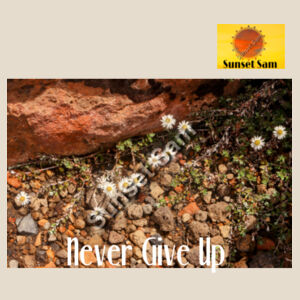 Flowers in the Rocks, Never give up - AS Colour Womens Maple Organic Tee Design