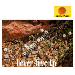 Flowers in the Rocks, Never give up - AS Colour Womens Ringer Tee Design