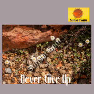 Flowers in the Rocks, Never give up - AS Colour Womens Martina Crop Tee Design