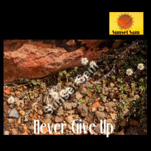 Flowers in the Rocks, Never give up - AS Colour Womens Maple Scoop Tee Design
