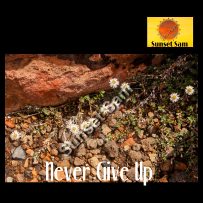 Flowers in the Rocks, Never give up - AS Colour Womens Maple Scoop Tee Design